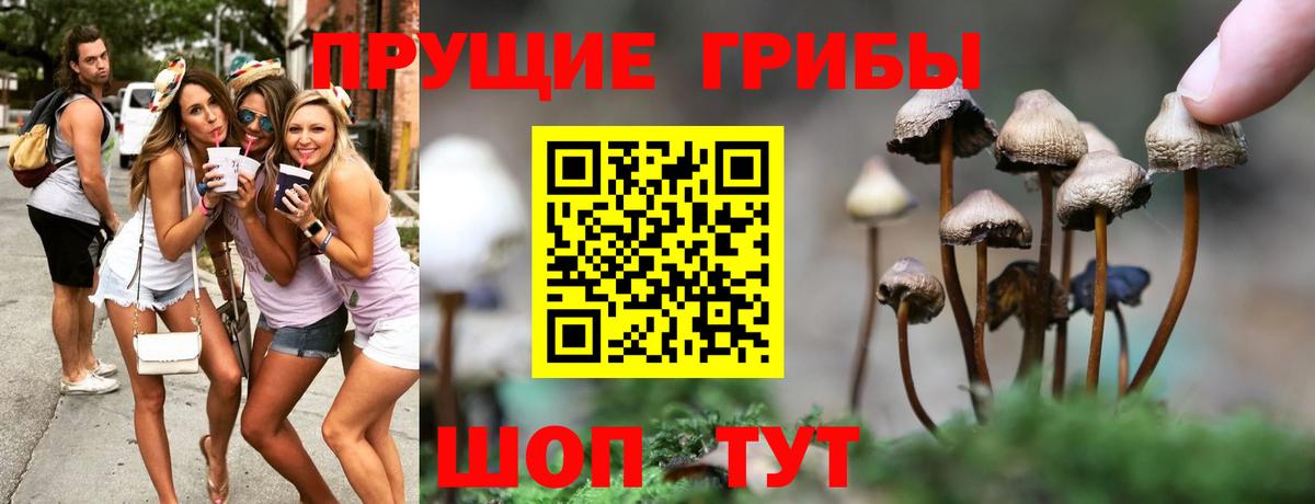 Галлюциногенные грибы Magic Shrooms Хасавюрт