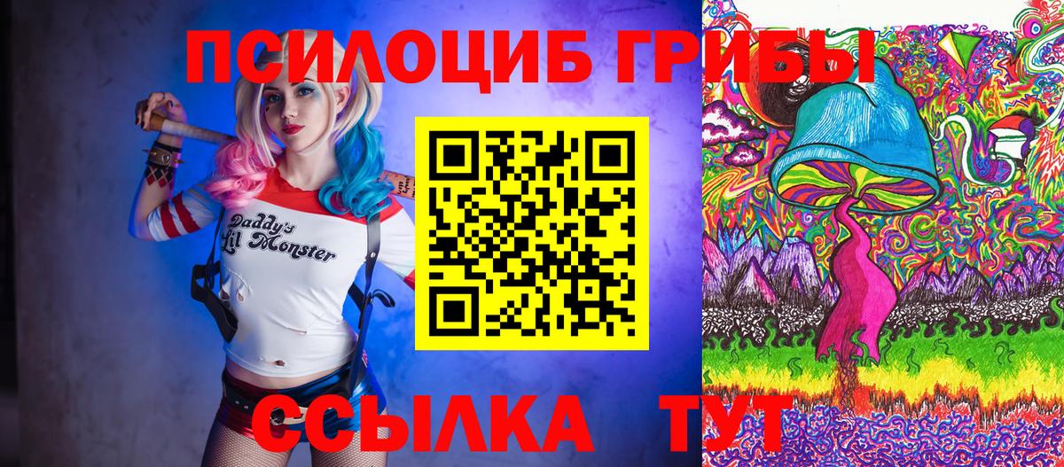 Псилоцибиновые грибы Psilocybine cubensis  Вход с VPN  магазин    Хасавюрт 