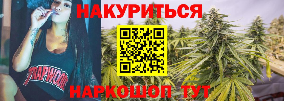 Марихуана сатива Хасавюрт